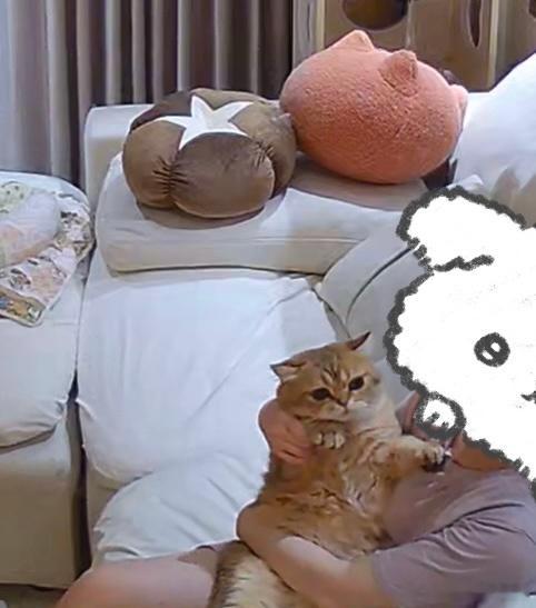 监控里的小金猪好可爱啊还会撅嘴嘴 