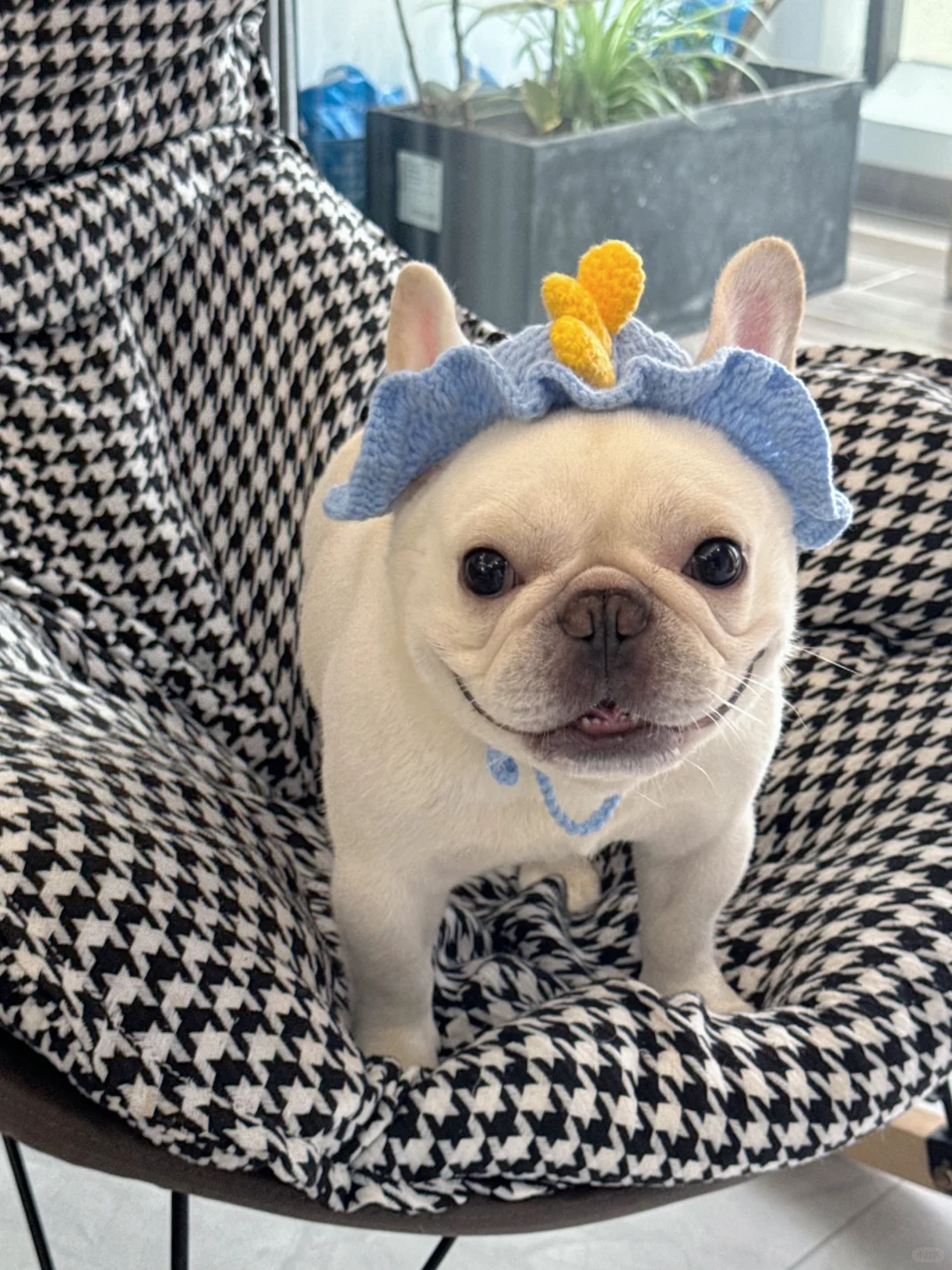 我掐指一算～今天宜蓝色～