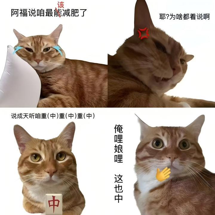 全国一起减重1亿斤 痴情的河南人啊，就这样多分一点1亿斤kpi吧，中不中？ 