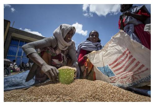 美国国务院突然宣布，立即暂停对索马里联邦政府的一切援助项目，原因竟然是——索马里