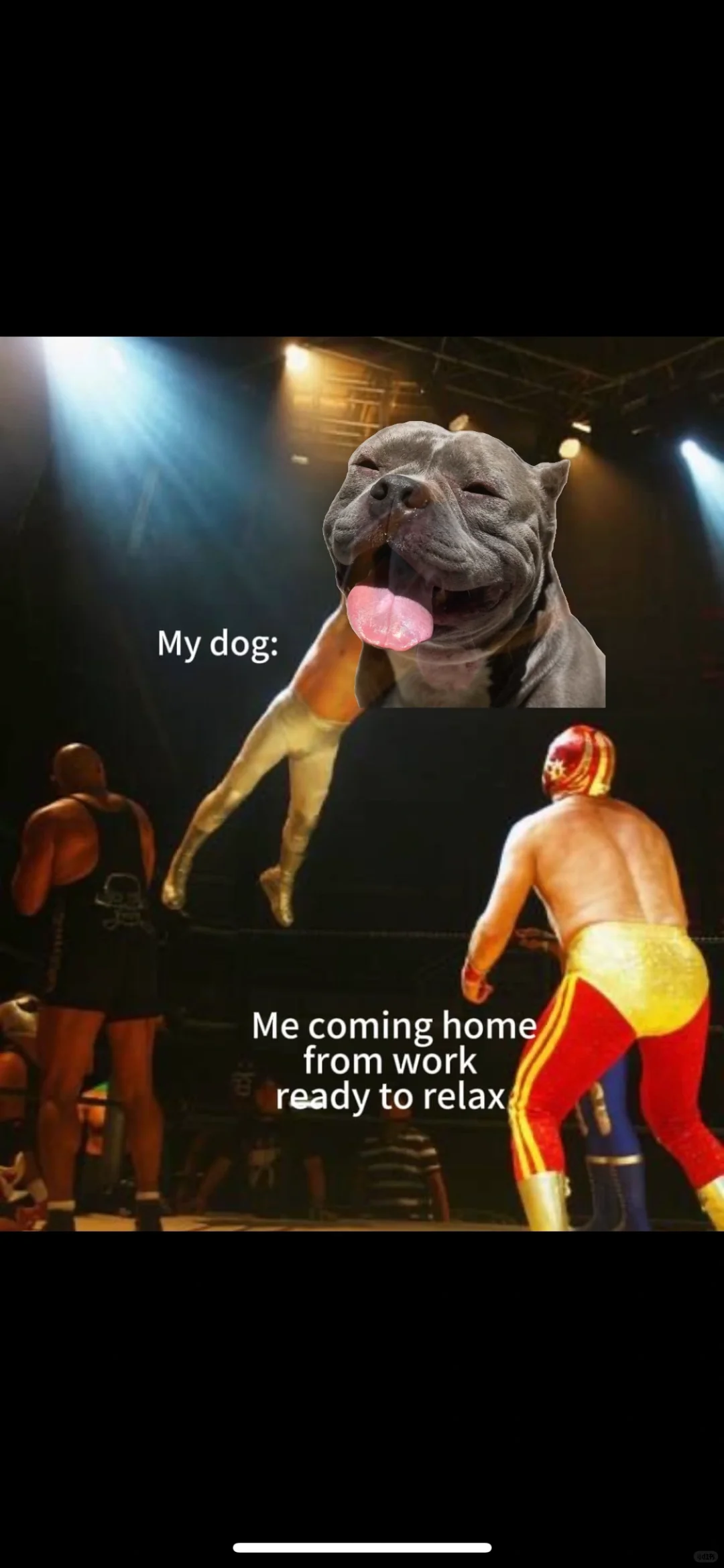 当你回到家准备休息的时候