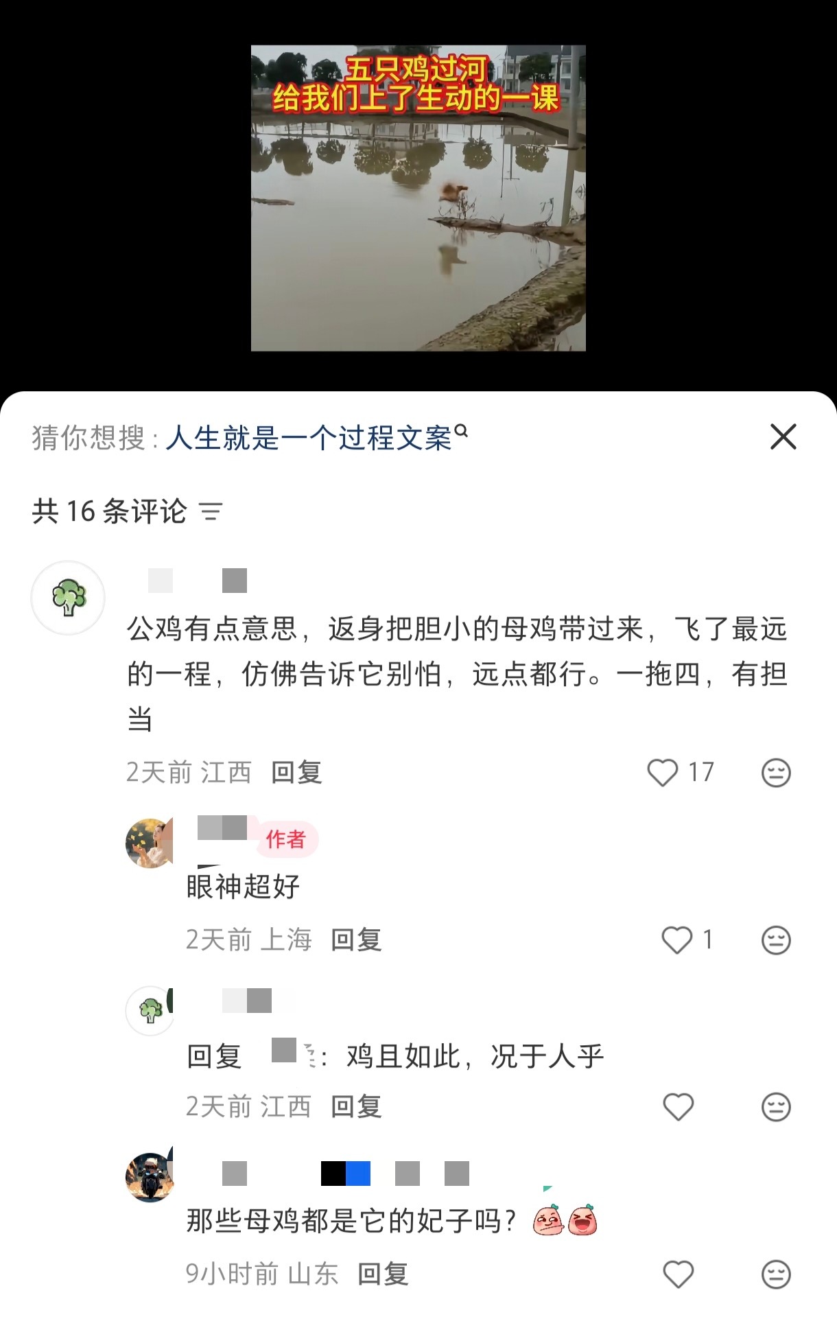 视频只是五只勾勾哒飞过河也要给♂上价值吗 