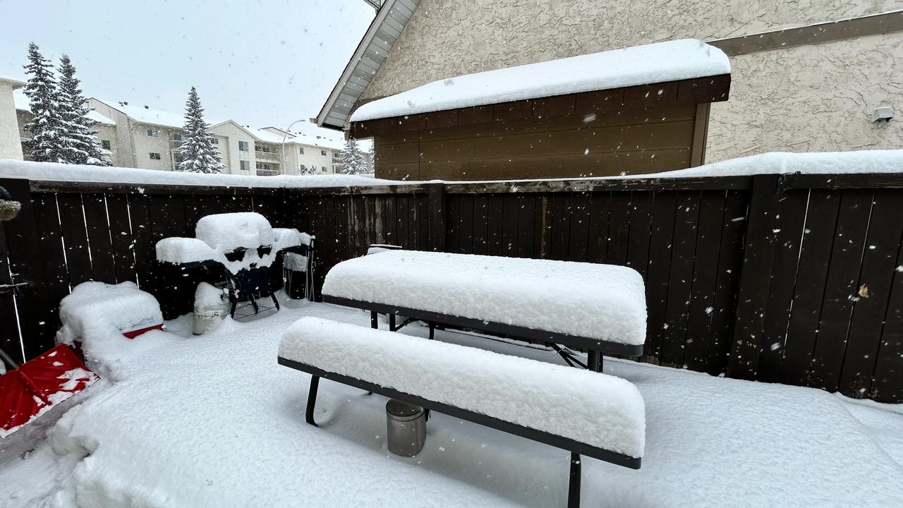 连续下了三天的雪。。。