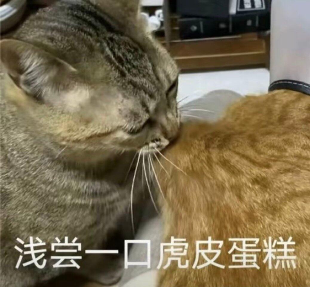 实用聊天表情包 ​​​