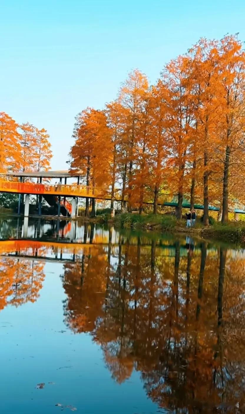 武汉的朋友发来照片
这不是忽悠我的吧
从没听说武汉的冬天美啊
只知道武汉的春天