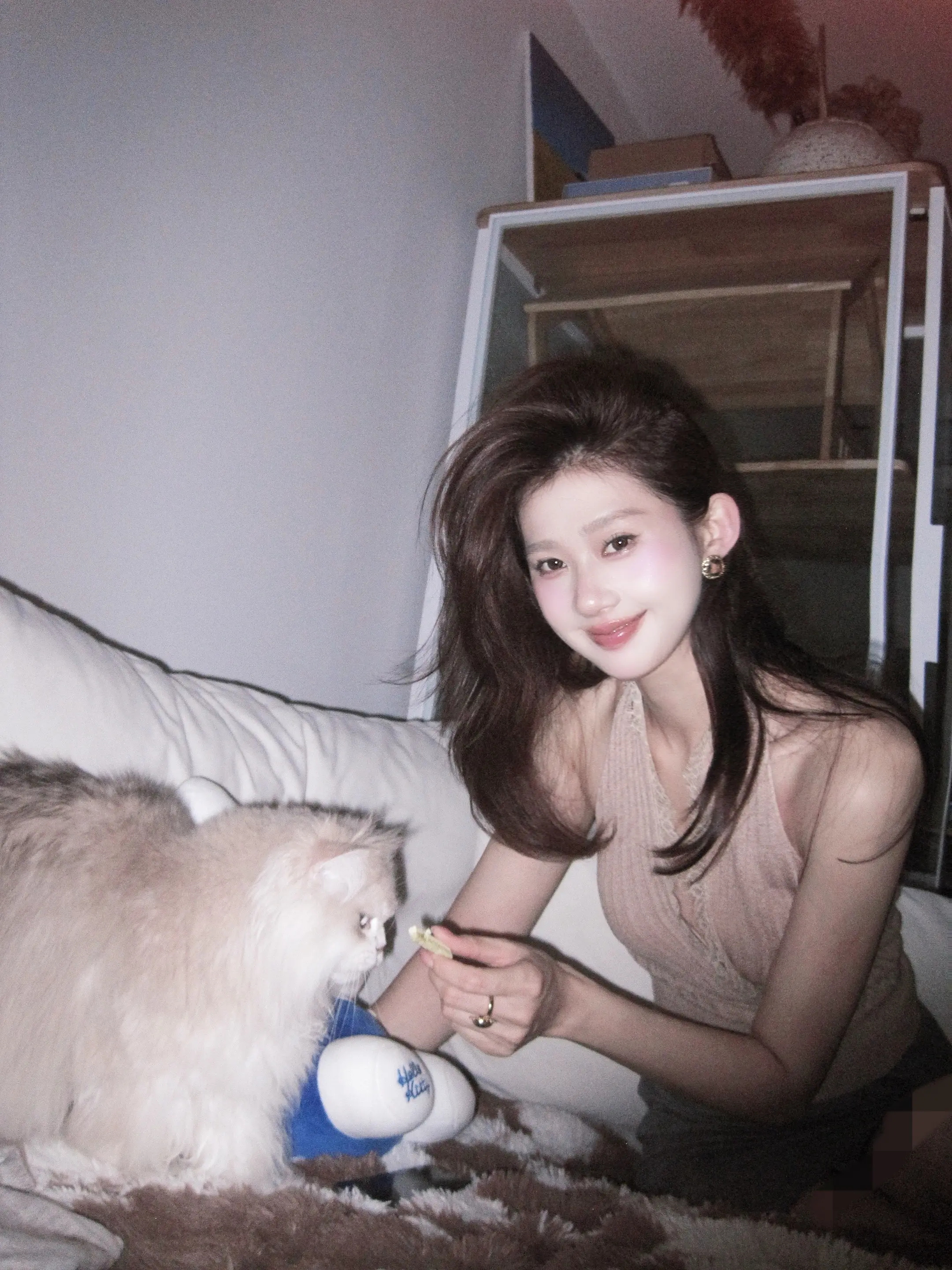 🐈人类能有什么坏心思呢 不过是拿小猫条把我骗到怀里~