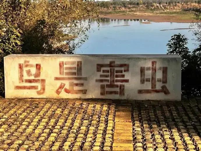 自己的问题，怪不到网民。