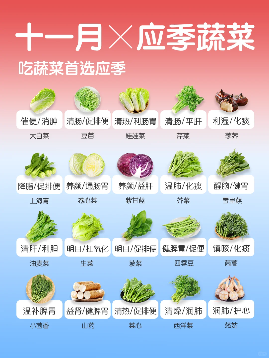 11 🈷️应季蔬菜速查👆｜吃蔬菜首选应季🥬