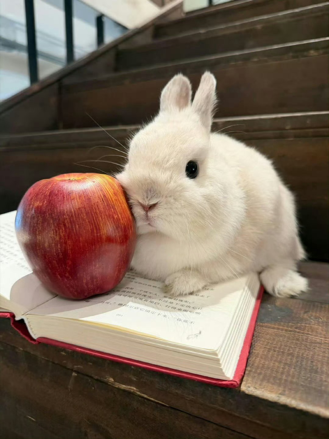 刘轩丞徒手捏爆苹果 外表乖巧像小兔子，捏爆苹果却毫不费力，常年自律健身功底扎实，