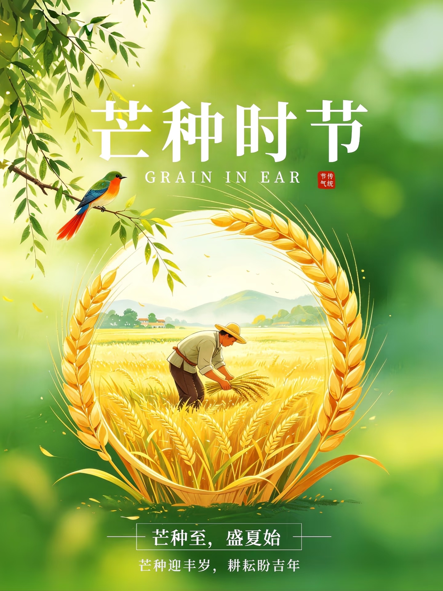 芒种至，夏始浓！麦粒渐满，秧苗初插。暖风裹挟麦香，细雨润泽良田🌧 一收一种间，