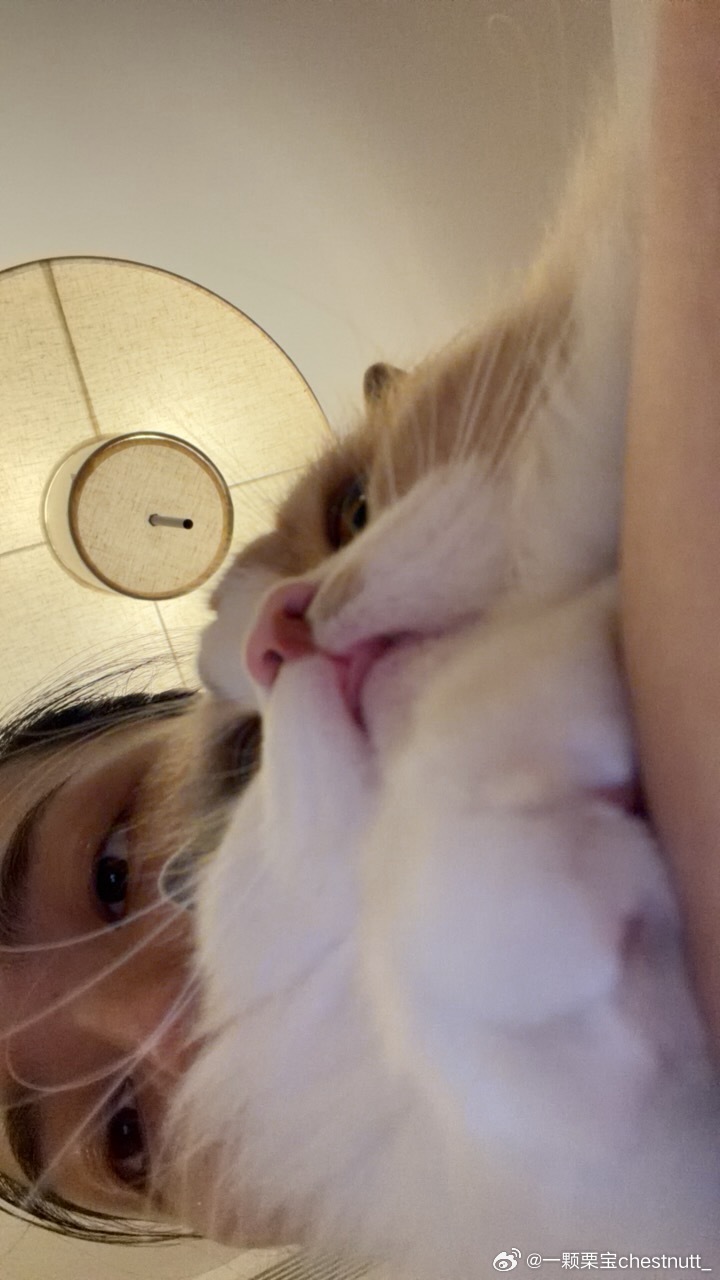 我是个好妈 