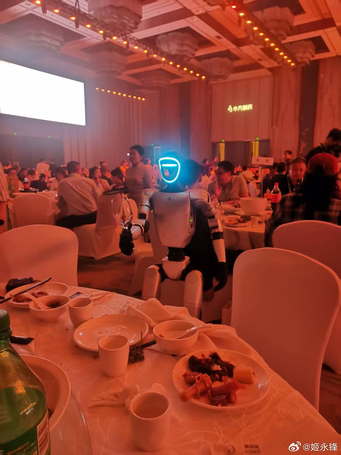 来个敬酒的 ​​​
