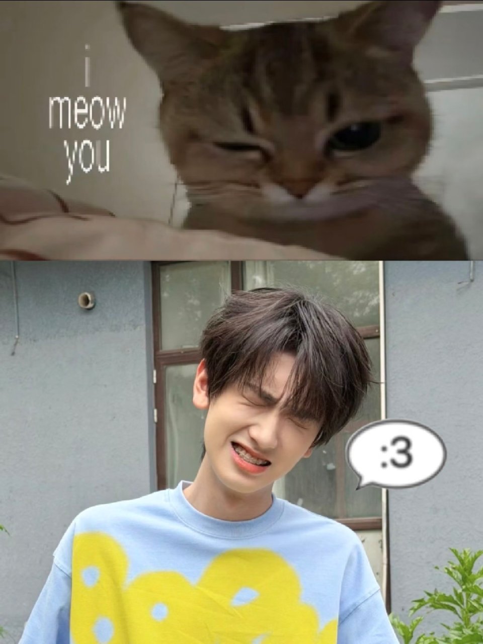 😖🐱 