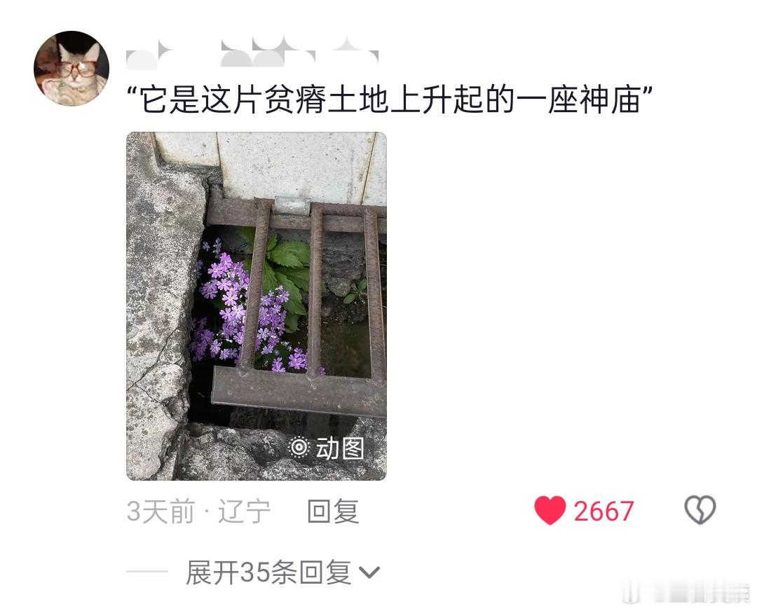 强者从不抱怨环境！永远会被顽强的生命力所震撼 