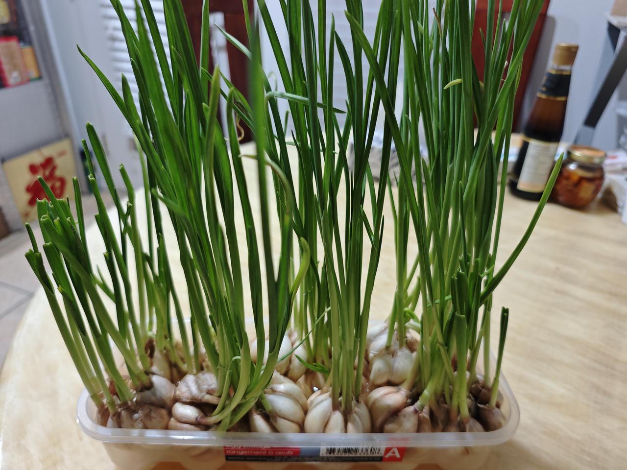 60+老姐在温哥华上学，遇到了人生最难的一科: 医学术语( medical te