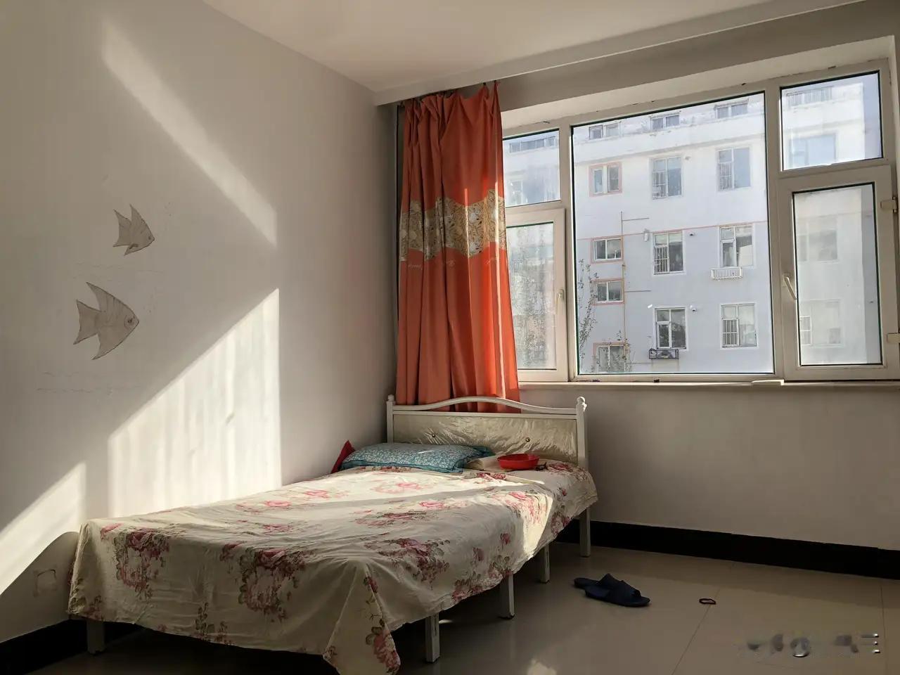 素老三晒了自己的卧室，被人嘲笑了，说她一个作家，如此寒酸，还自夸房子阳光好、舒适