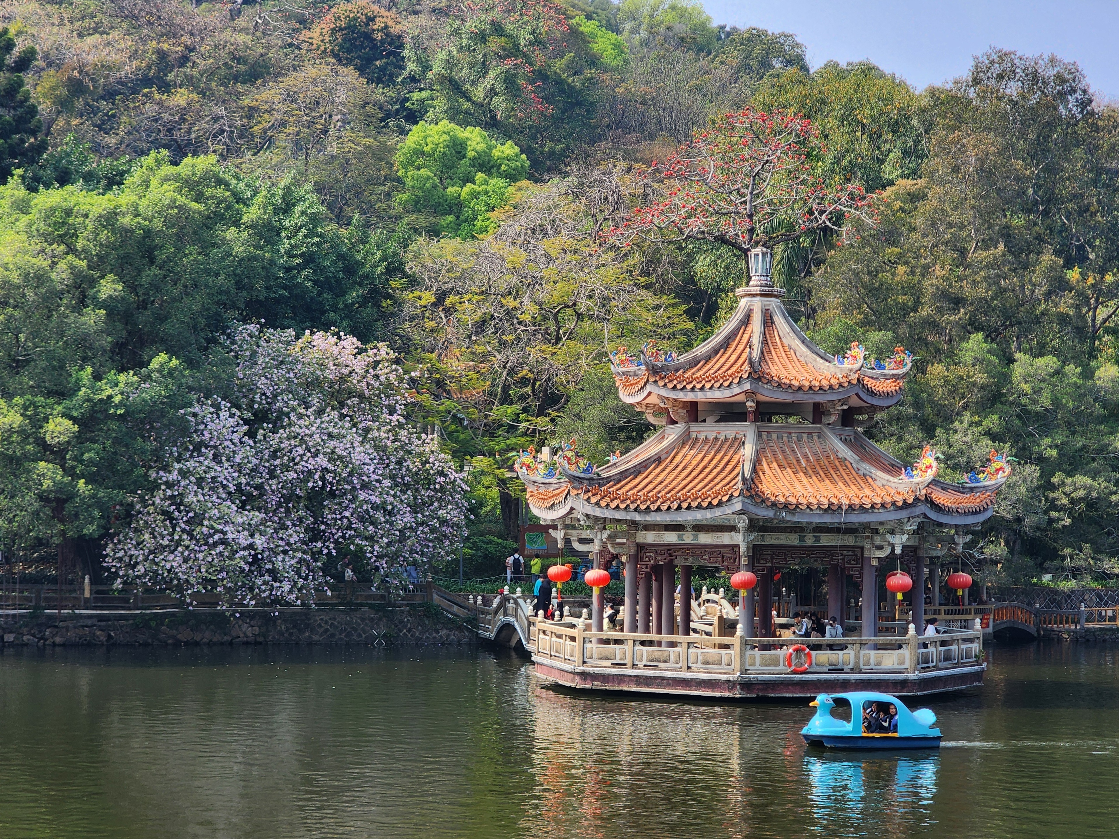 春天来了，万物复苏，又是一副生机勃勃的景象 潮州·潮州古城