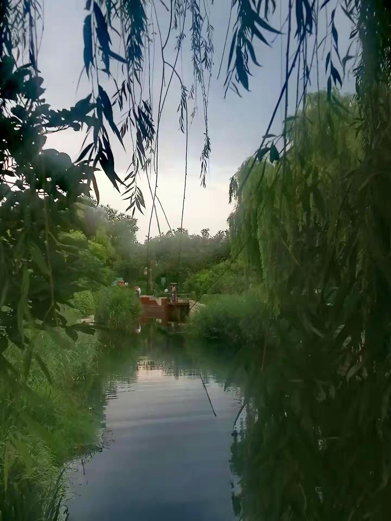 人到老了，什么养老金，什么有多少存款，儿女孝不孝顺，这些都不重要，最重要的只有一