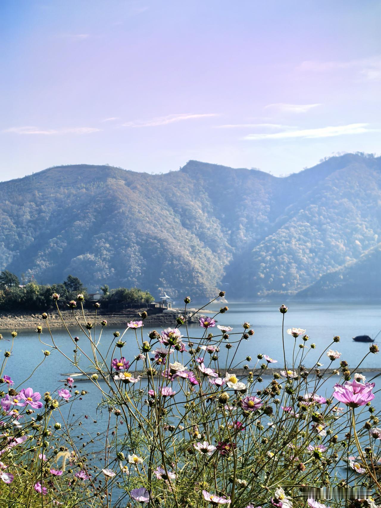 不是现在有软件家长模式或者家长可控吗？用智能打败智能[大笑]
当然，一味在所谓的