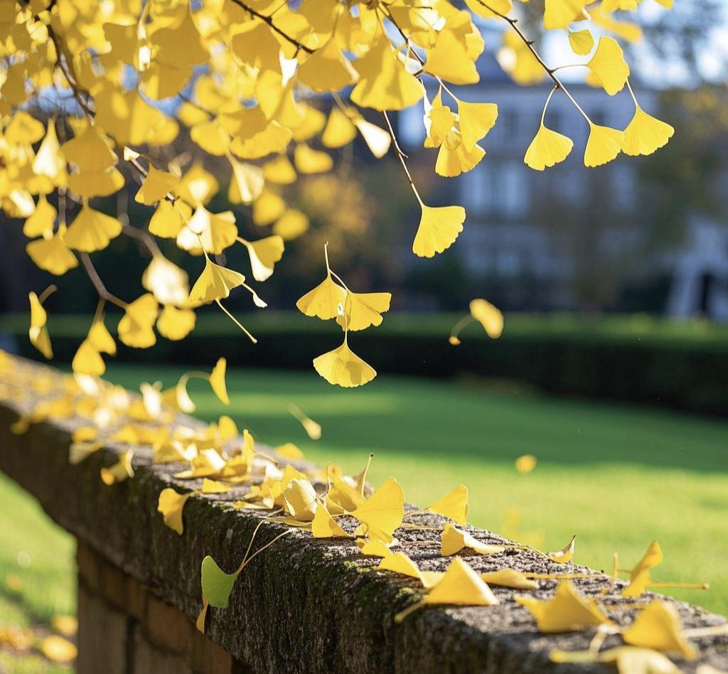 家长大多比较焦虑。昨天我遇到一位学生家长，他家孩子成绩挺不错，每次考试基本都在6
