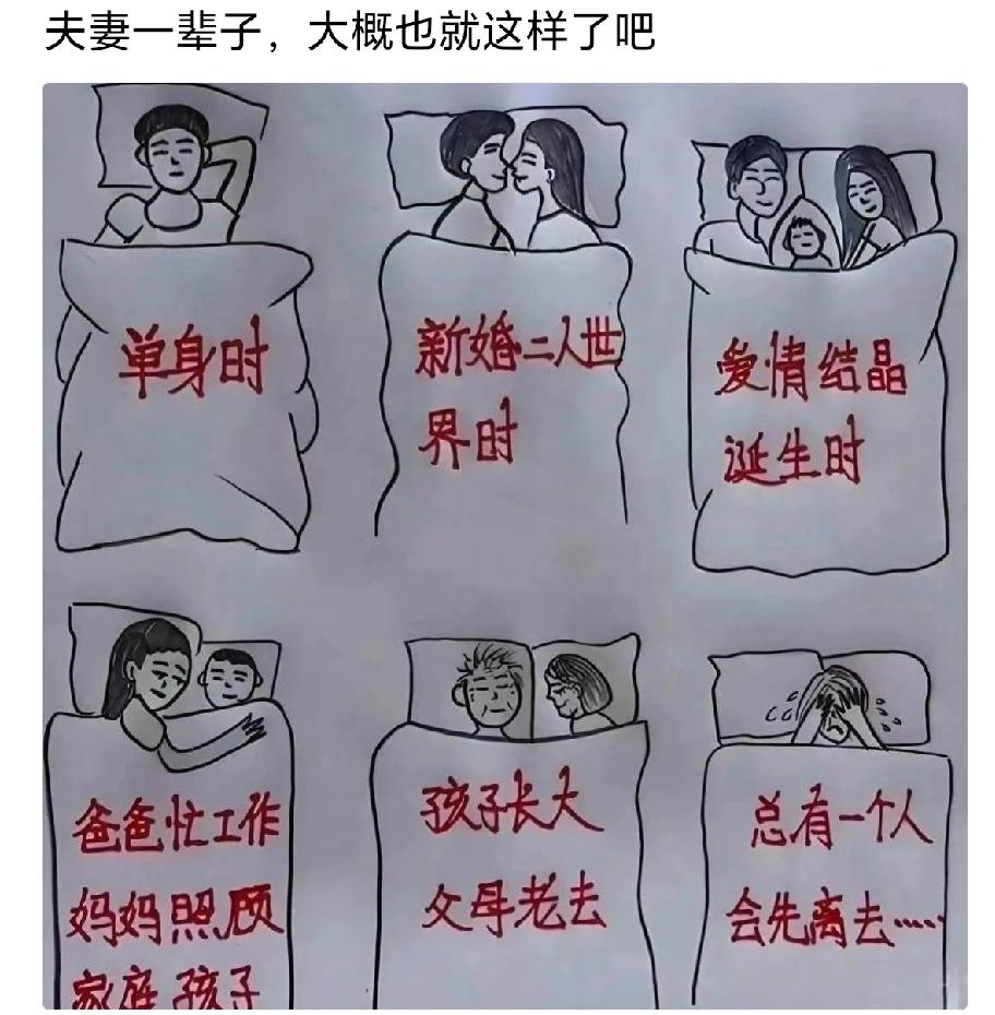 不得不说，真的很形象！这也许就是人生吧！