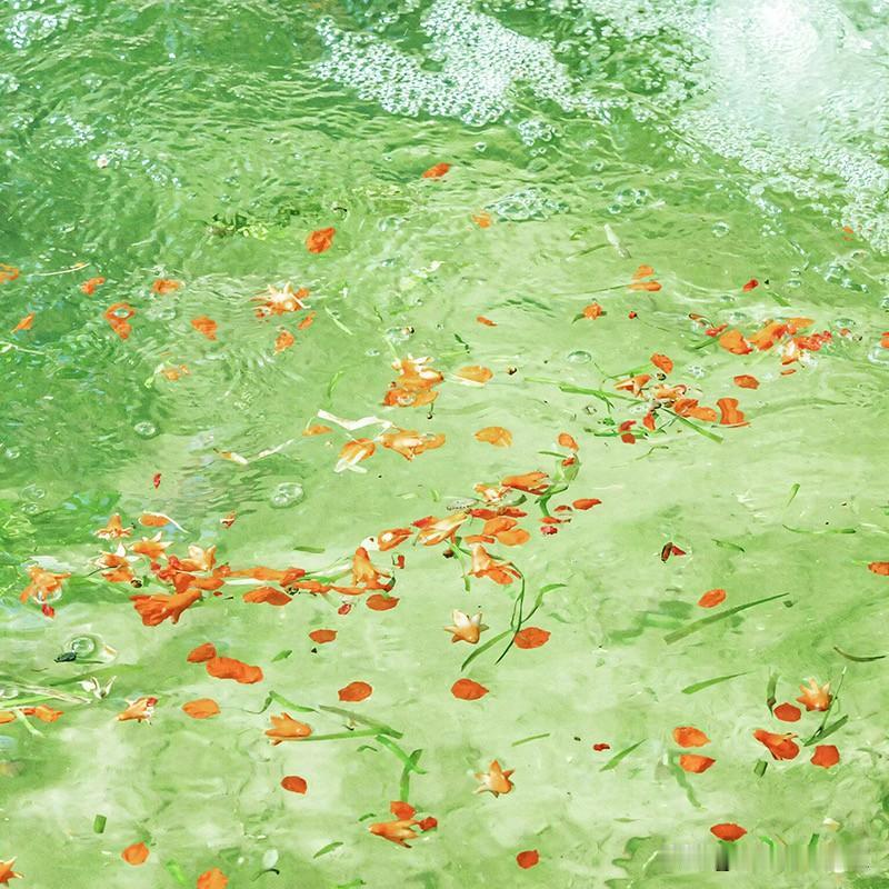 一句话看穿「12 星座的爱情伪装」：

白羊：假装无所谓，其实超在意
金牛：假装