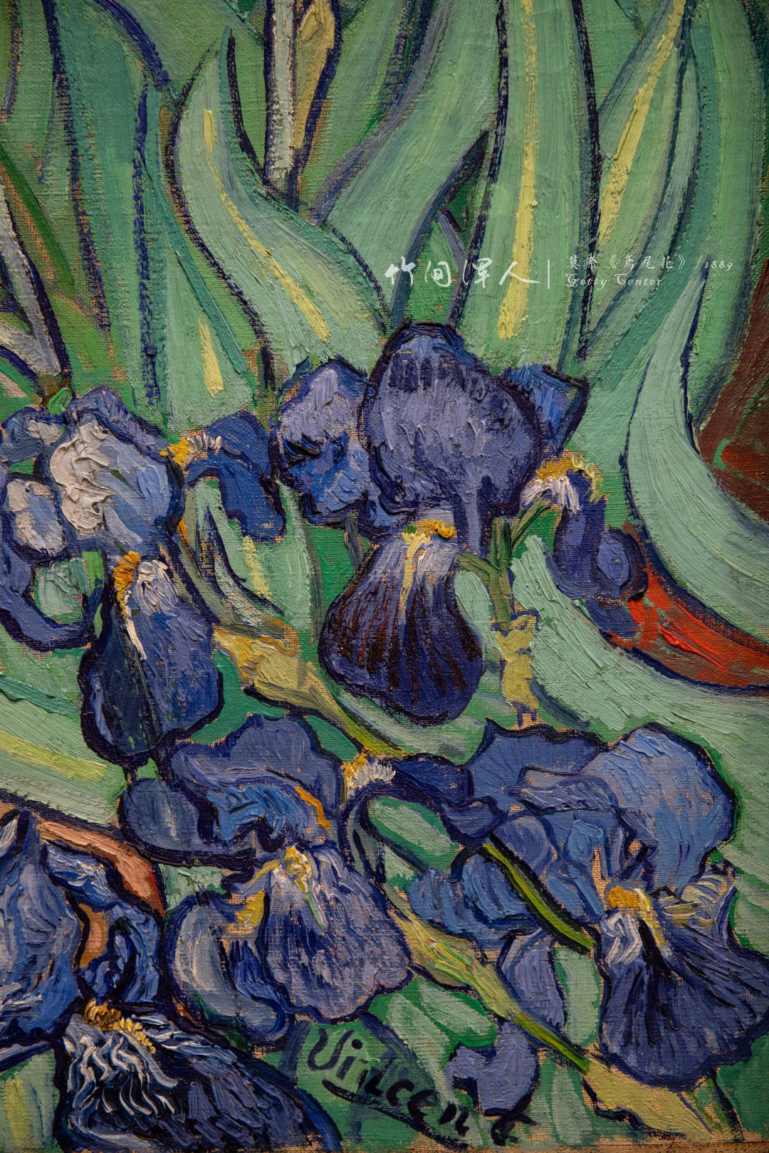 真正的爽文：花了15年跨越半球，终于看清你