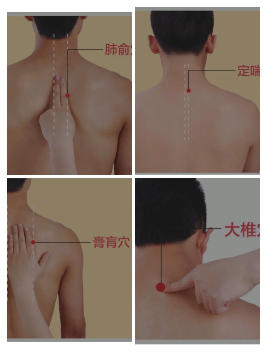 三伏灸，蕞有效的四个穴位