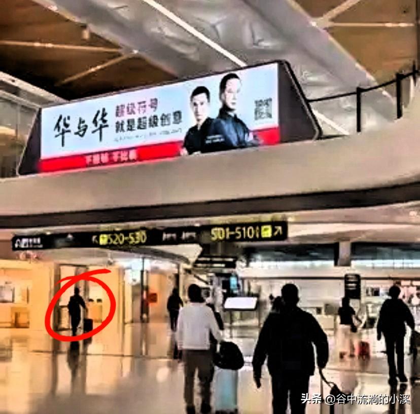 一个毛骨悚然的发现：
你天天喝的蜜雪冰城、吃的洽洽瓜子，
还有给爸妈买的足力健鞋