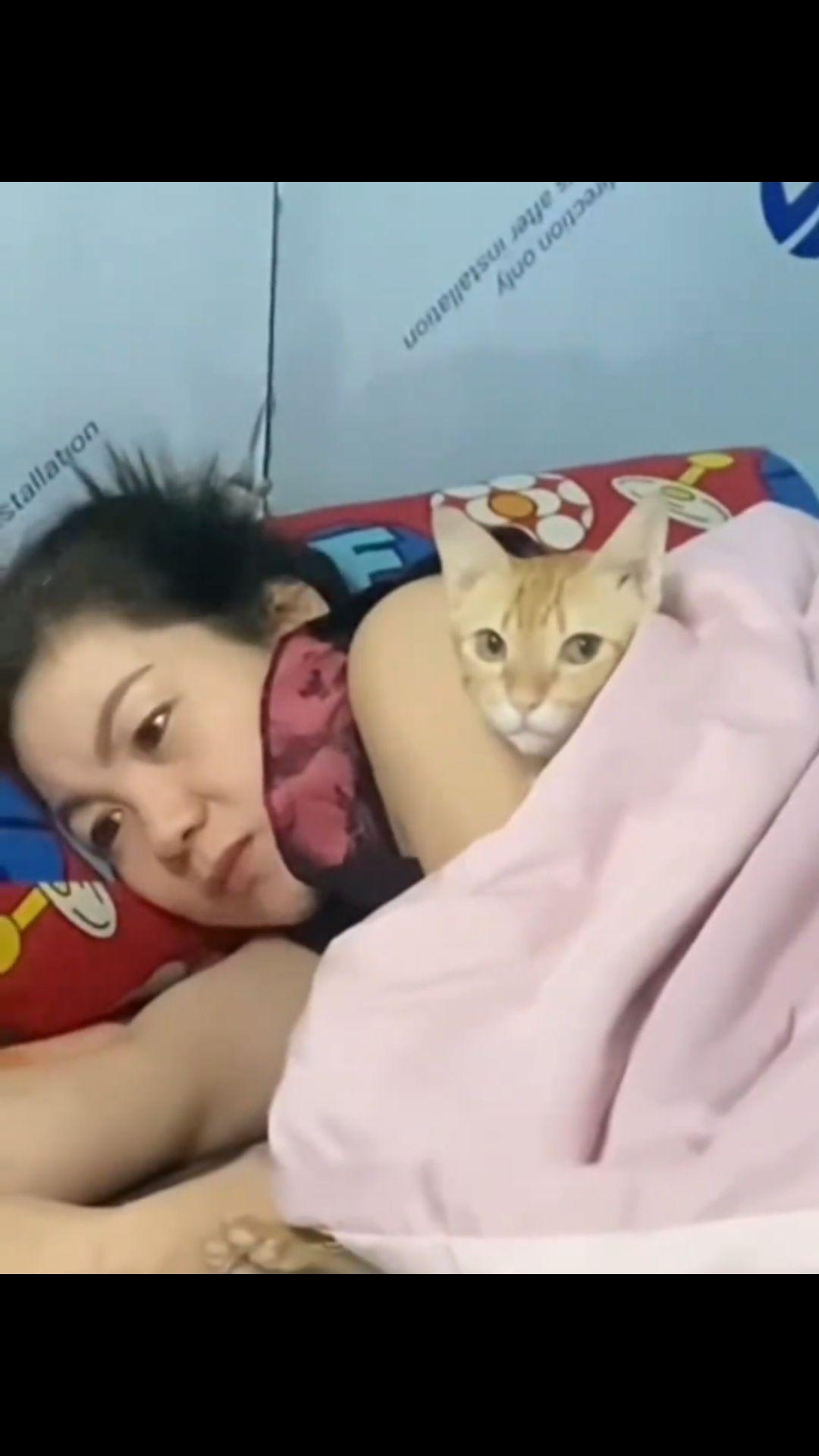 老妈不喜欢我养猫，猫咪就喜欢黏着她，她也没办法了