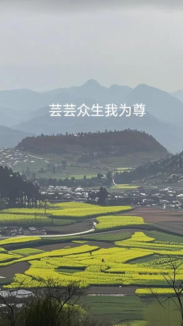风水玄学
 风水宝地
 什么是风水