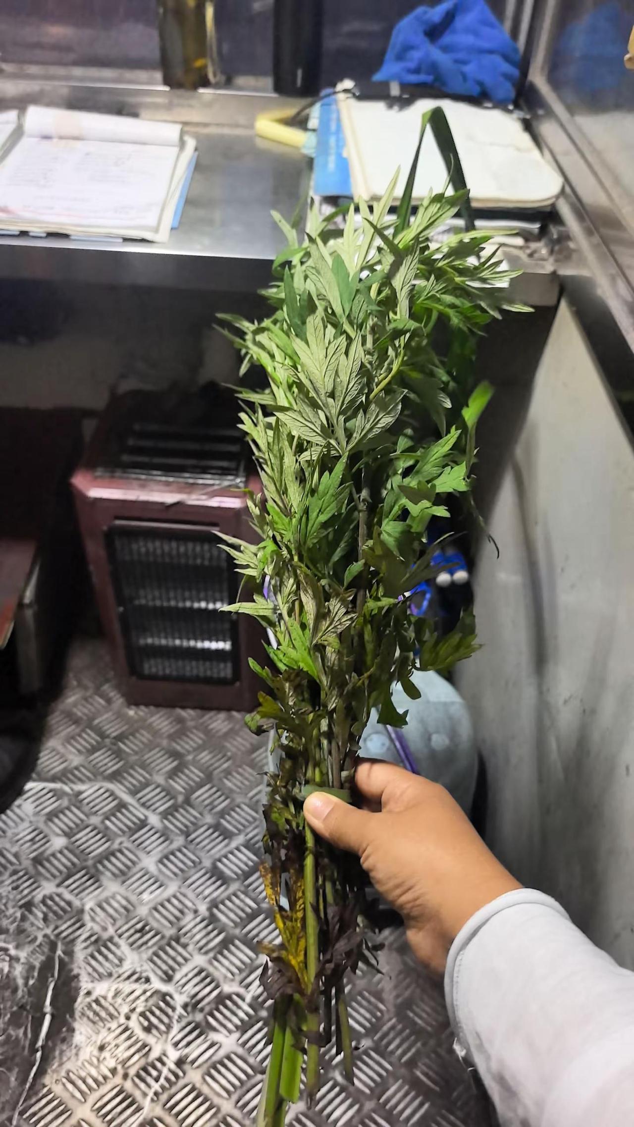 血脉觉醒了，九零后已经自主自愿在端午节给自家大门挂上了艾草吉祥门挂