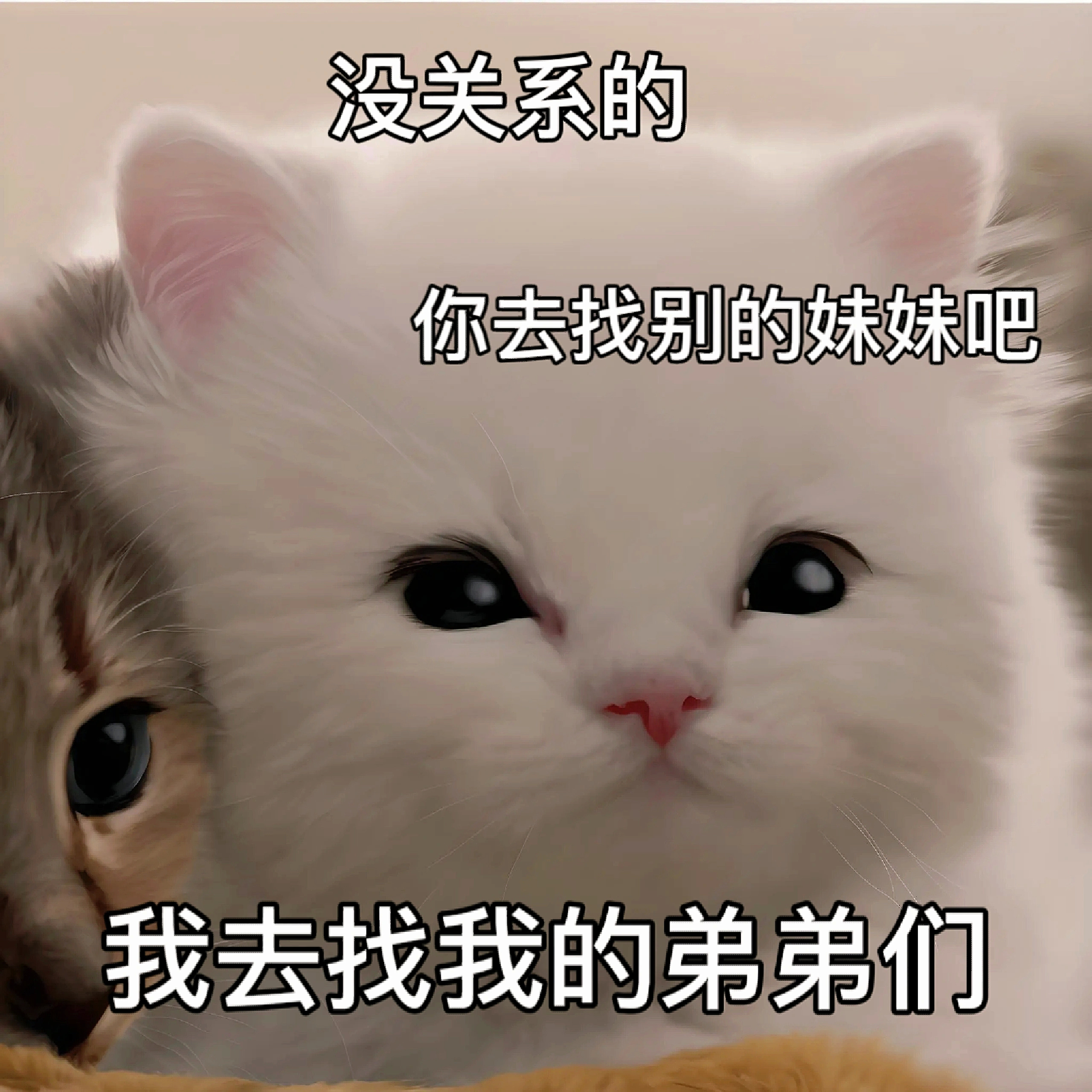 异地调戏男友表情包 ​​​