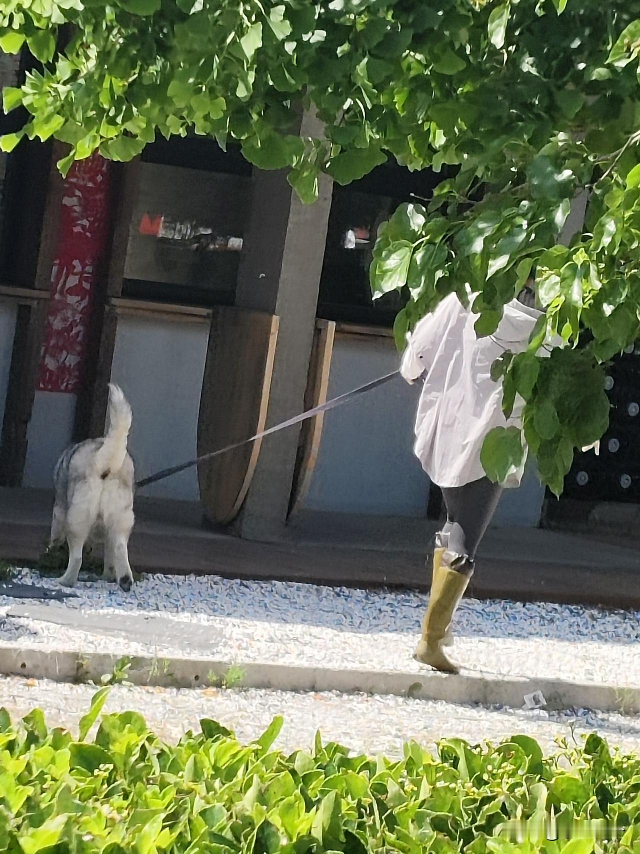 咱就说现在人，对自己一点数没有，你说像人家哪种条件，穿戴随便几千几万的，家里大房