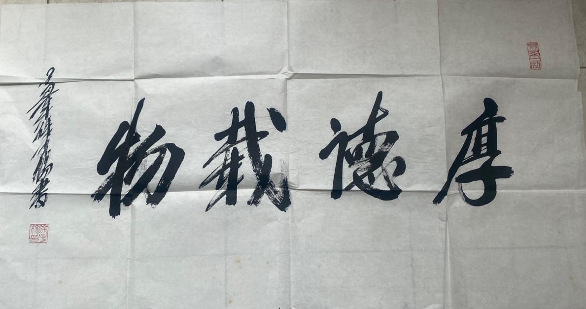 徐子杨先生是当代书法家，担任中国书法艺术研究院研究员、黄宾虹画院副院长等职，以草