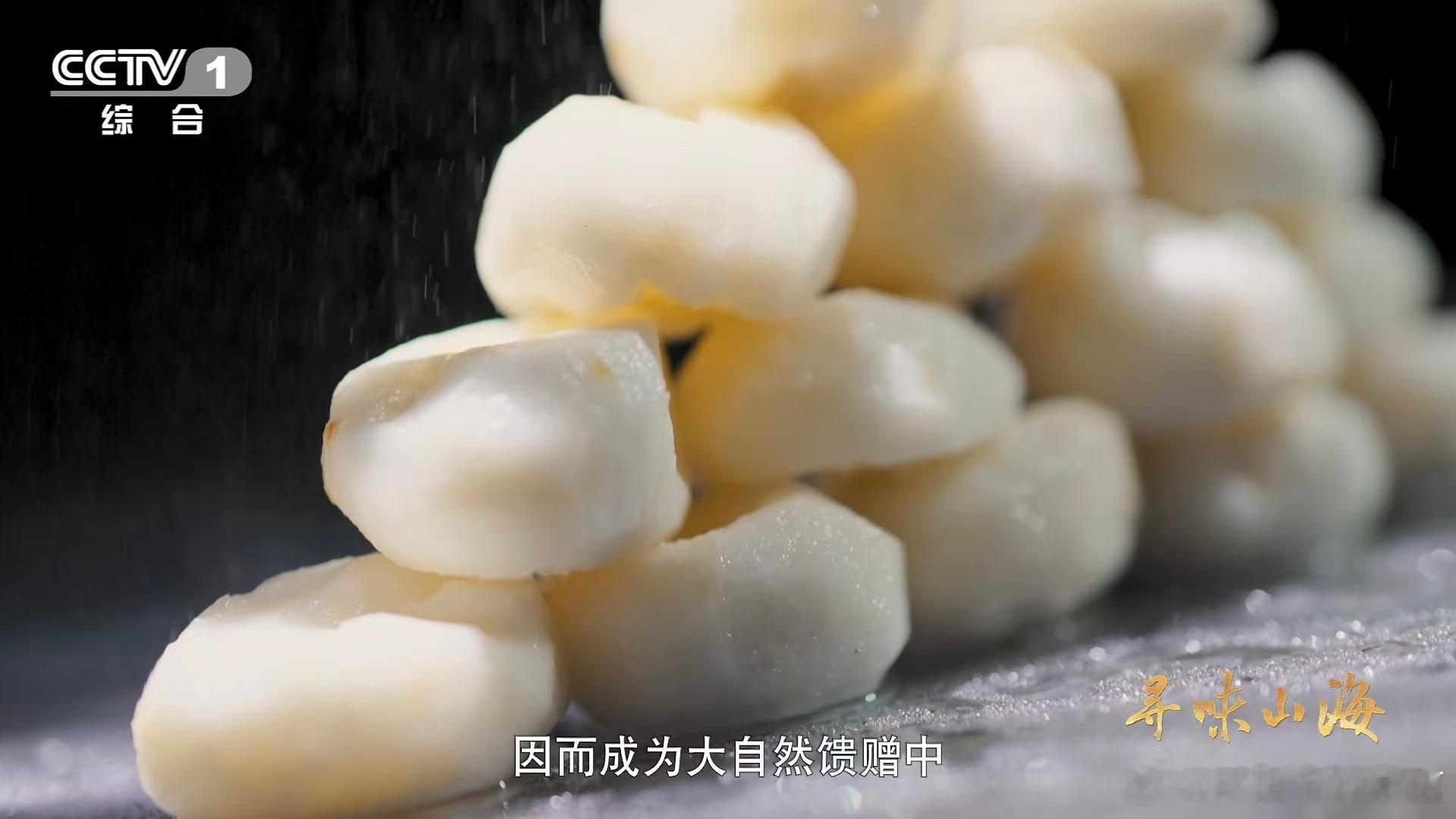 名字带马的水果你吃过吗 原来荸荠还有个接地气的名字叫马蹄！只因外形和马蹄高度相似