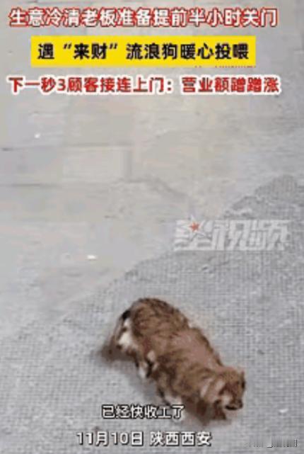 科学也解释不清了！近日陕西西安，一老板看没有生意，就打算提前关门，关门时发现门口