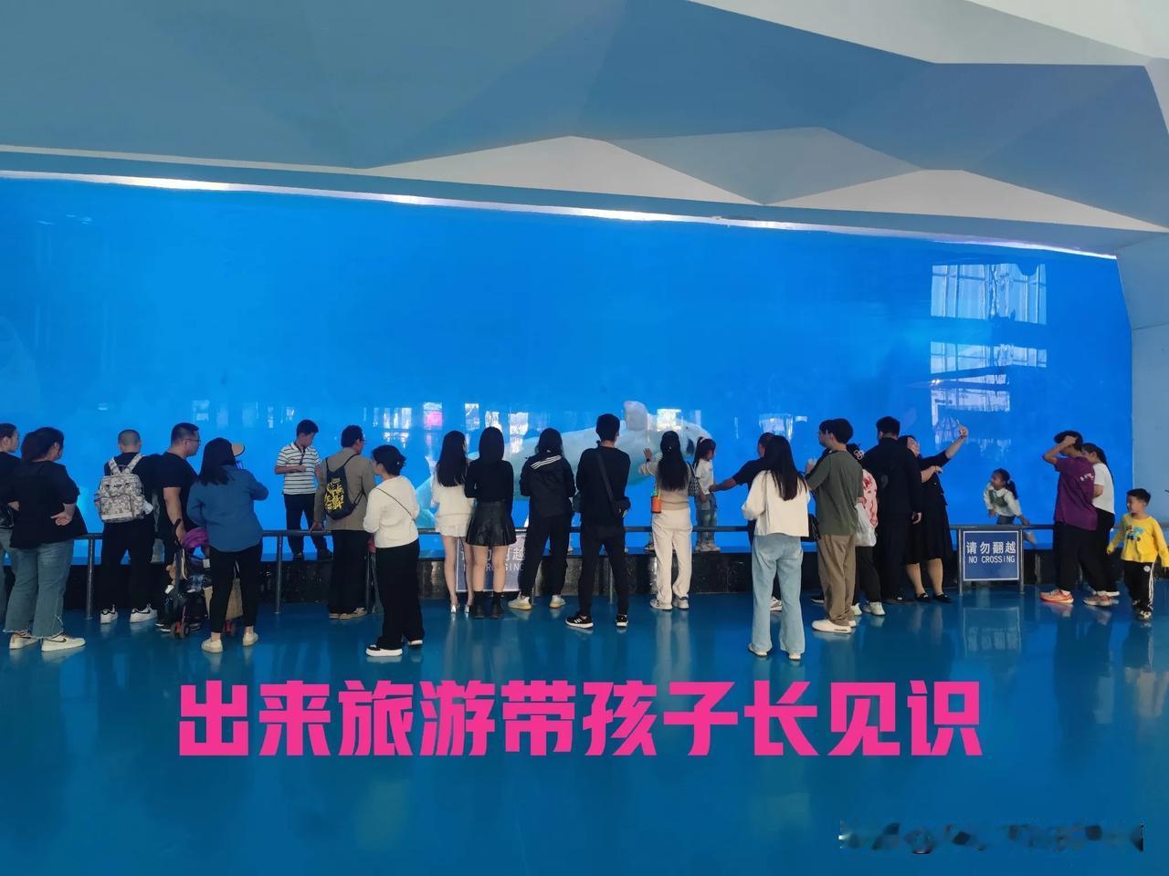 读万卷书，不如走万里路。假期带孩子出去走走长长见识，开阔一下视野多好！这不国庆假