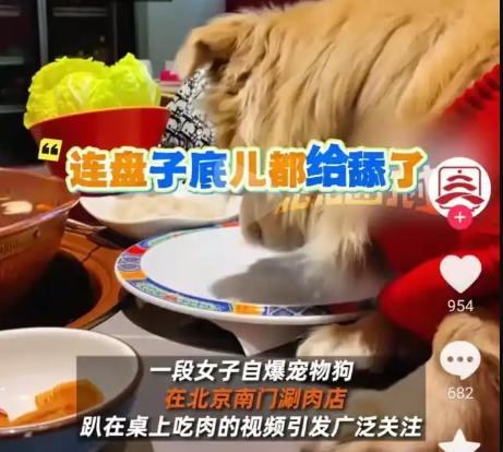 网友炸了！北京奇葩女狗主，带狗进饭店，放任狗狗上桌吃肉、舔盘子，还美美拍视频发网
