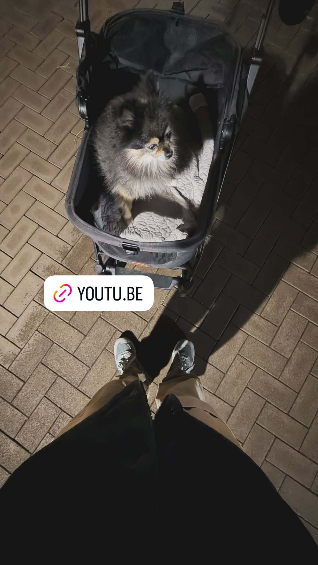 “CB百蓝_。251218金钟云 ins story更新： 