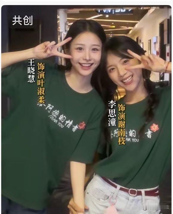 单论颜值与辨识度，饰演淑柔的王晓慧明显胜过谢南枝的扮演者李思潼。更让人敬佩的是，