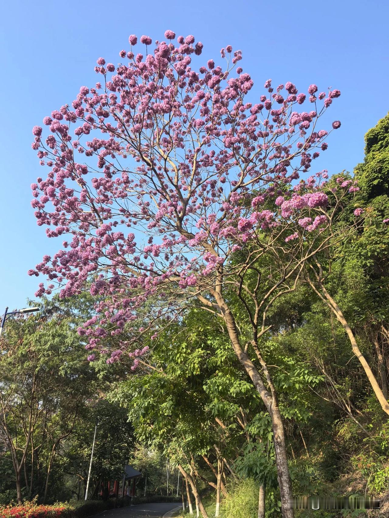 我发现我现在的心态真的有不一样，这种不一样源自于一种底气。加油，继续提升和巩固自