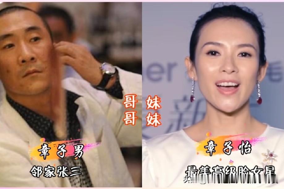 血脉相连！娱乐圈明星亲兄弟姐妹，你认识几对
 章子怡&章子男、张柏芝&张豪龙、谢