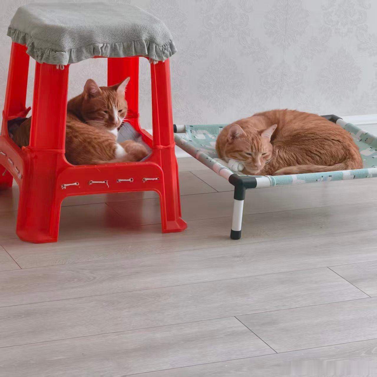 早，是不是困得睁不开眼 ​​​