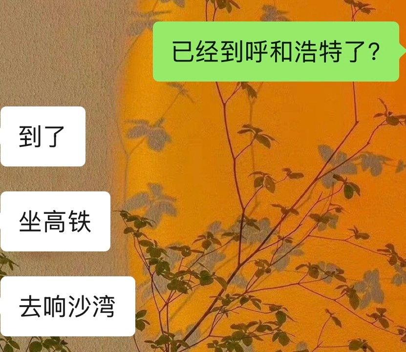 我也想有一场这样说走就走的旅行，奈何有了娃 
