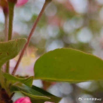 喜欢这么漫无目的地的游走在半夜无人的路口，然后放空自己！ 