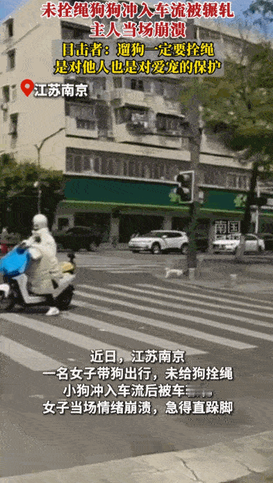 侥幸心理，害人害己！据媒体5月4日报道，江苏南京街头一名女子出门遛狗，全程不牵绳