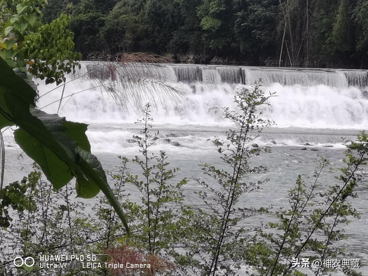 自称道医的，就是一批中医都没学明白的人[大笑]