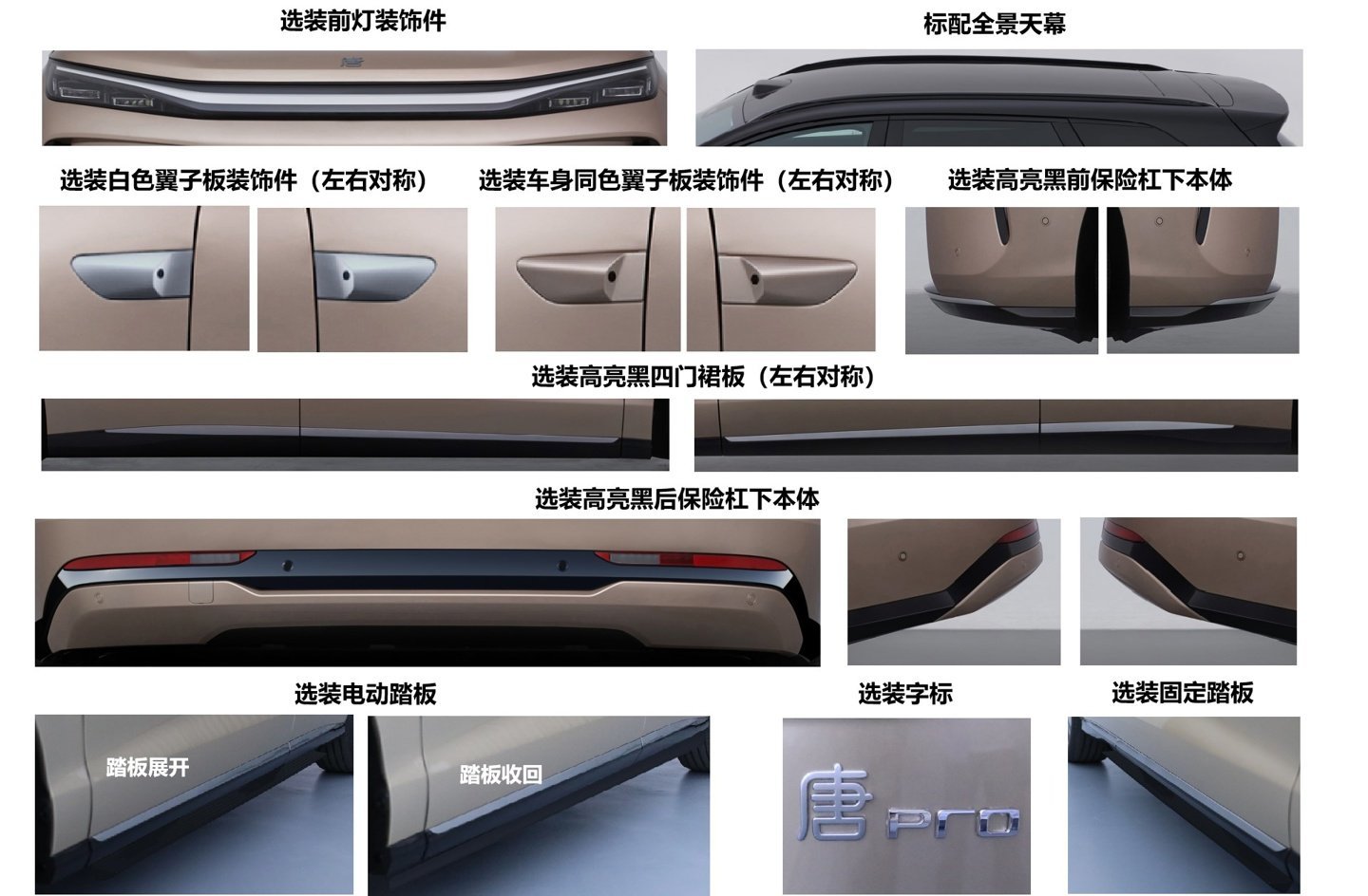 比亚迪新款唐 EV 今日亮相工信部第 409 批申报公示：本次共申报两款纯电版本