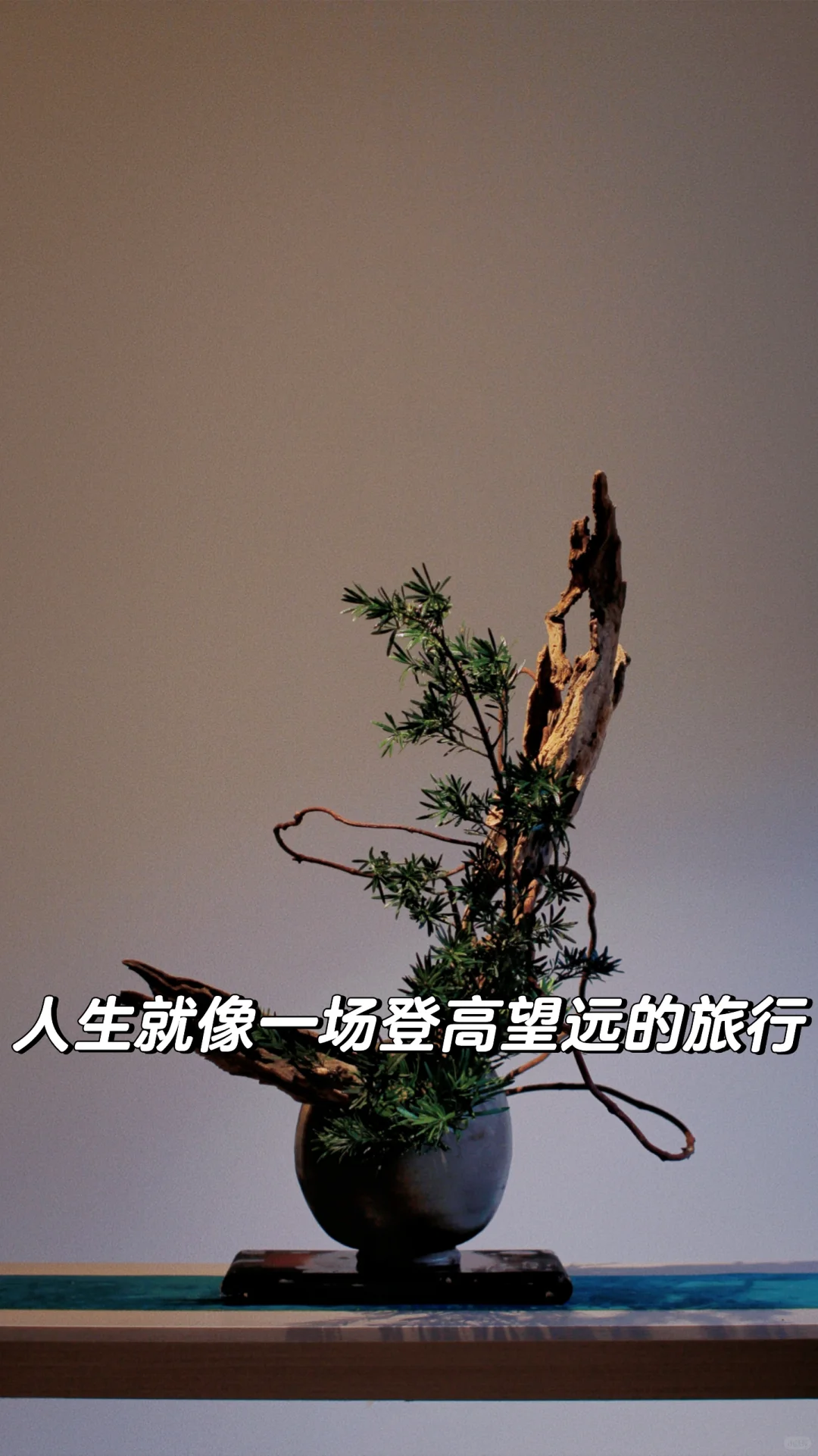 人生旅途  心存凌云志